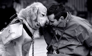 dog-person-friendship